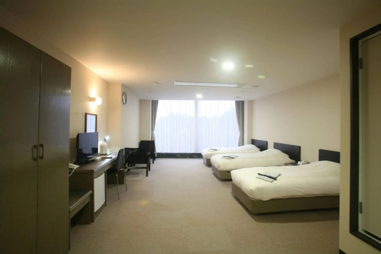 Rodisson Hotel Chubu international Airport Paladia