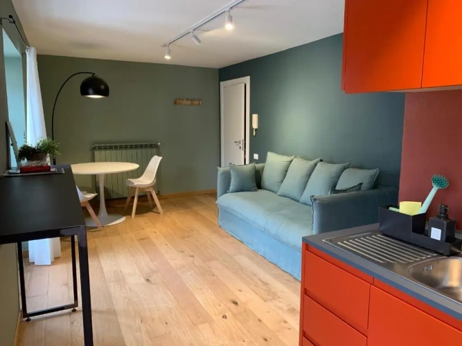 1 Bedroom Apartment