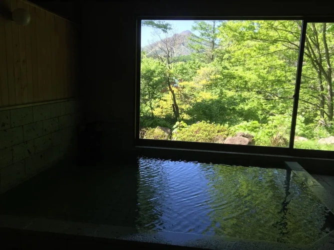 Standard room with river view