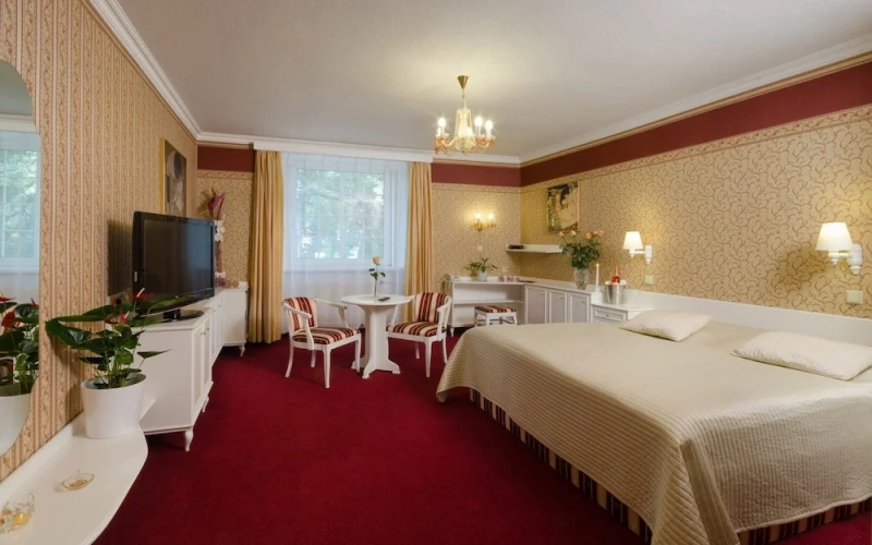 1 Bedroom Deluxe room