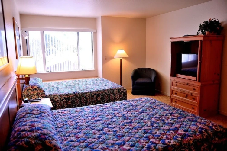1 Bedroom Quadruple Suite