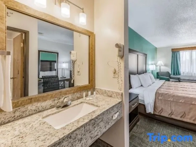 1 Bedroom Suite