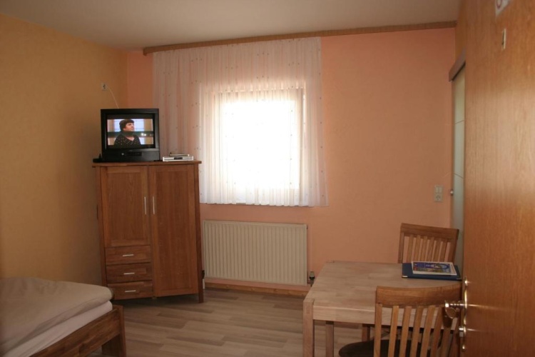 Standard Single room with garden view