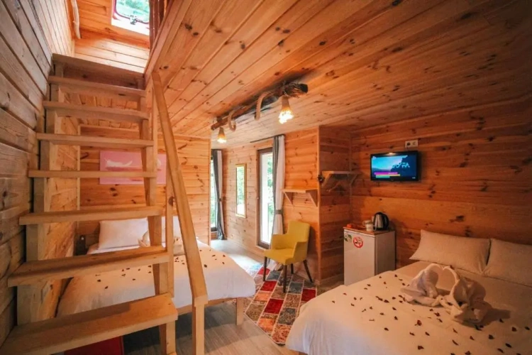 Duplex Apartment