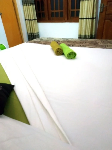 Deluxe Double room with balcony and with garden view