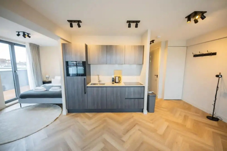 Wonderful Studio Penthouses