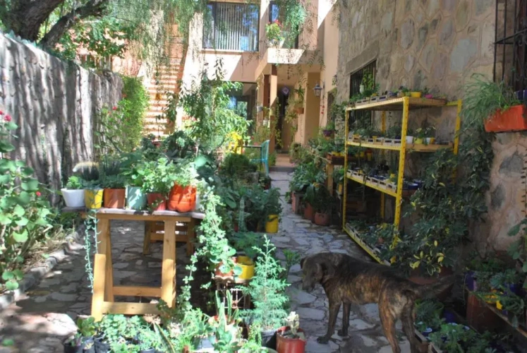 Standard Quadruple room with garden view