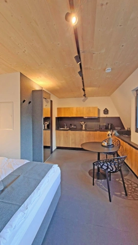 1 Bedroom Deluxe Studio with view