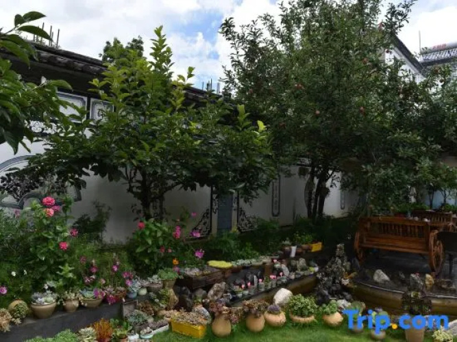 Shaxi Old Homestay