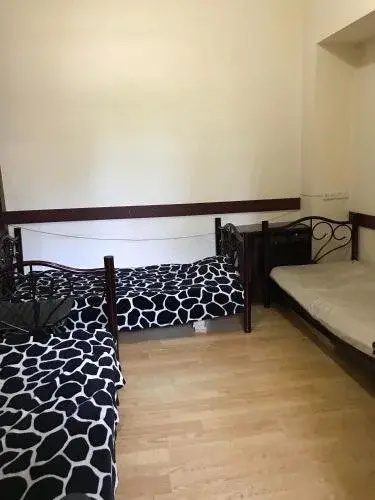 Hostel Green
