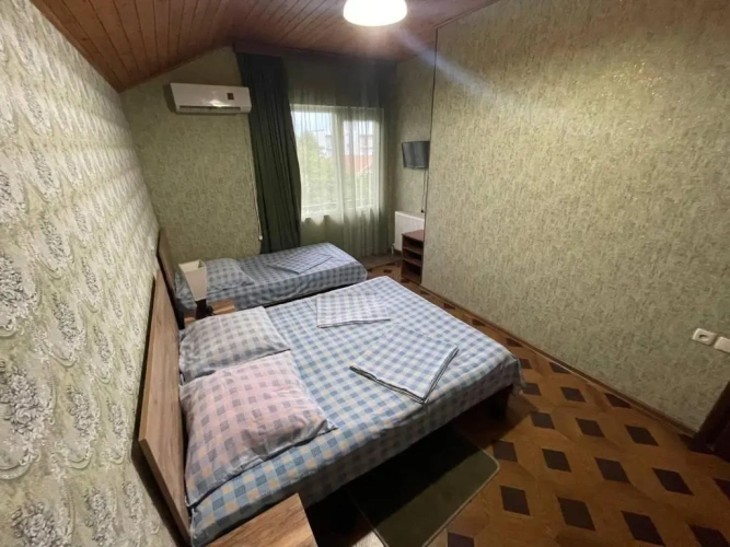 Standard Triple room with view