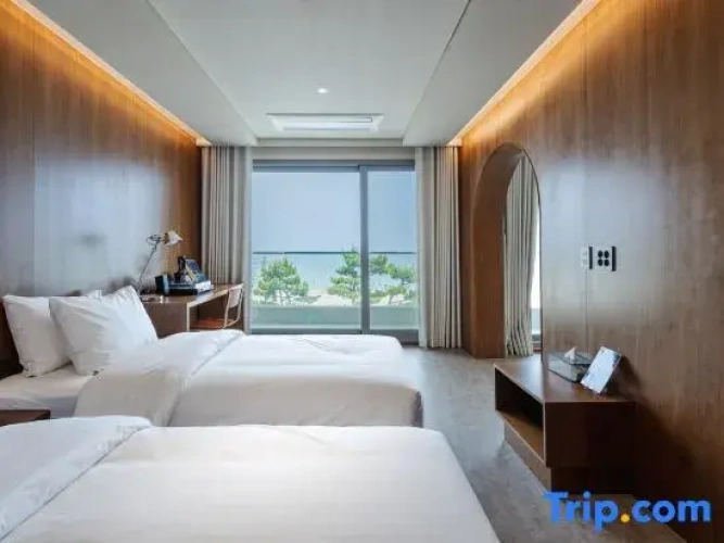 Family Suite with ocean view