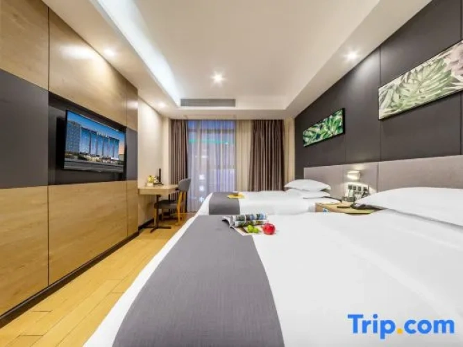 Standard Double room with city view