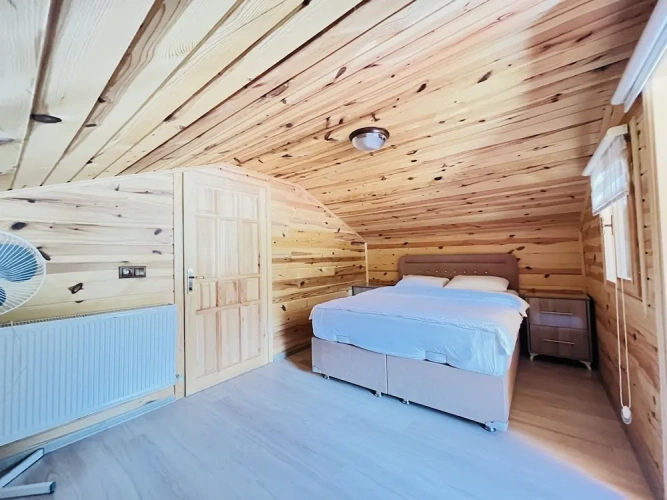 Standard Penthouse room