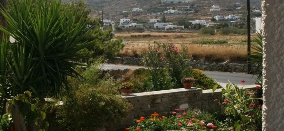 Vaya Hotel