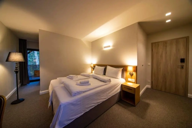 Standard Double room with mountain view