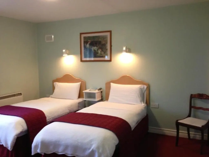 Standard Twin room with garden view