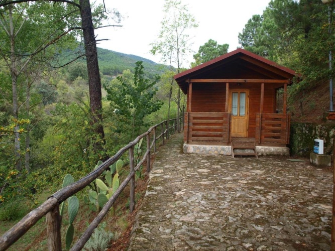 Family Bungalow