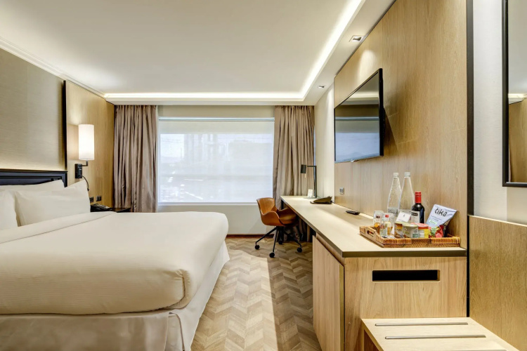 Hotel Plaza El Bosque Ebro