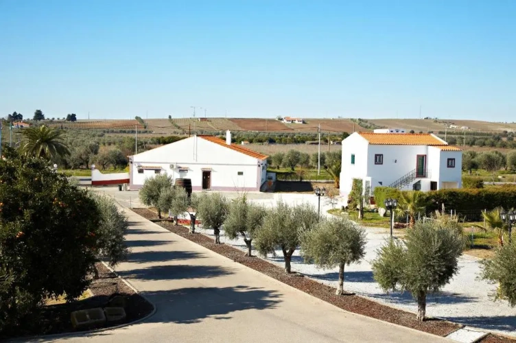 Standard Double room with balcony and with view