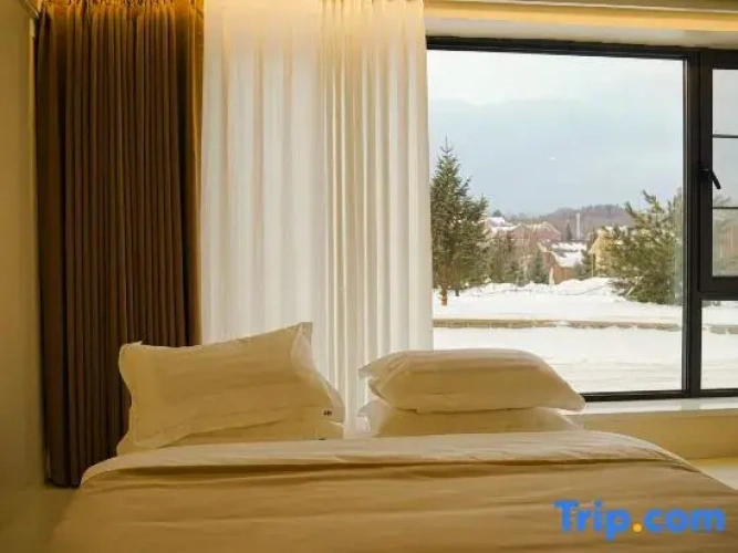 Standard Family room with view