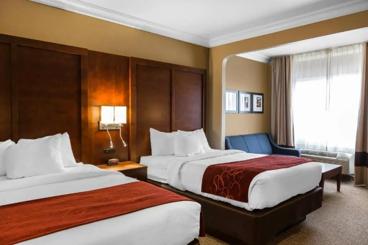 Quadruple Suite