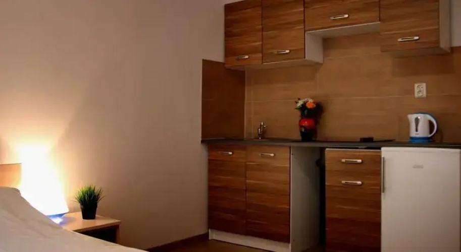 Studio Dolina Krakow Rental