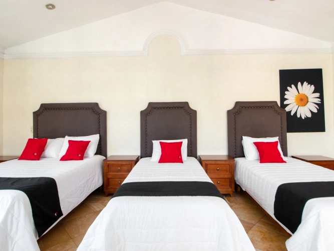 Guest rooms
