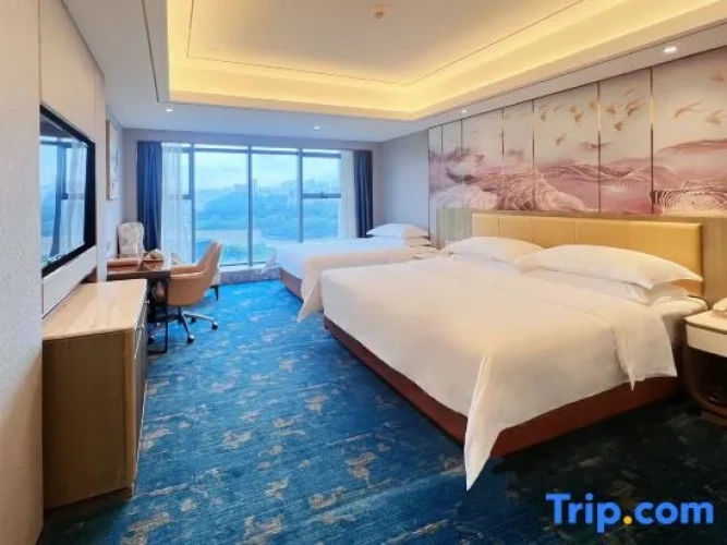 Deluxe Twin Family room