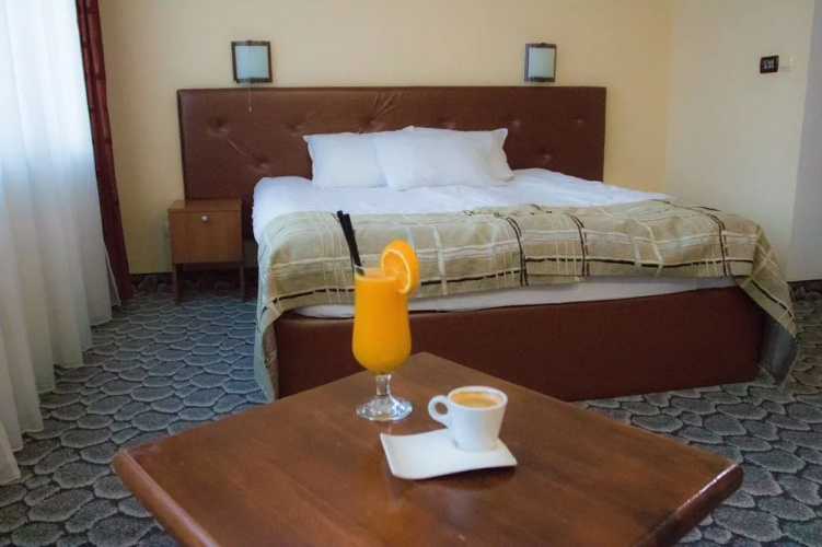 Zdravets Hotel Wellness & SPA
