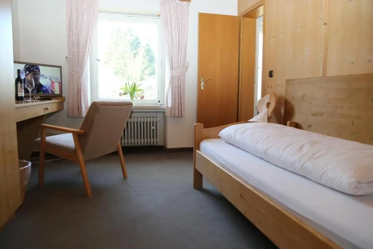 Standard Single room with lake view