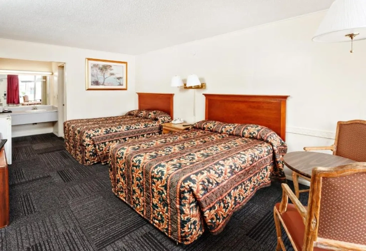 Standard Single room with view