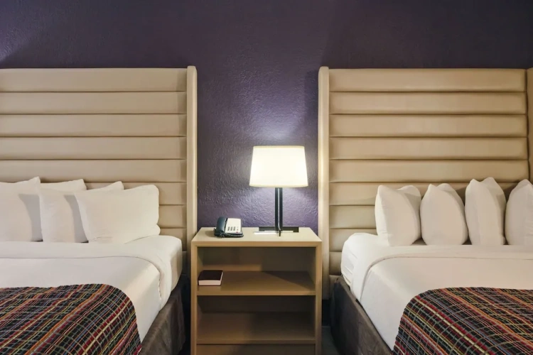 Quadruple Suite
