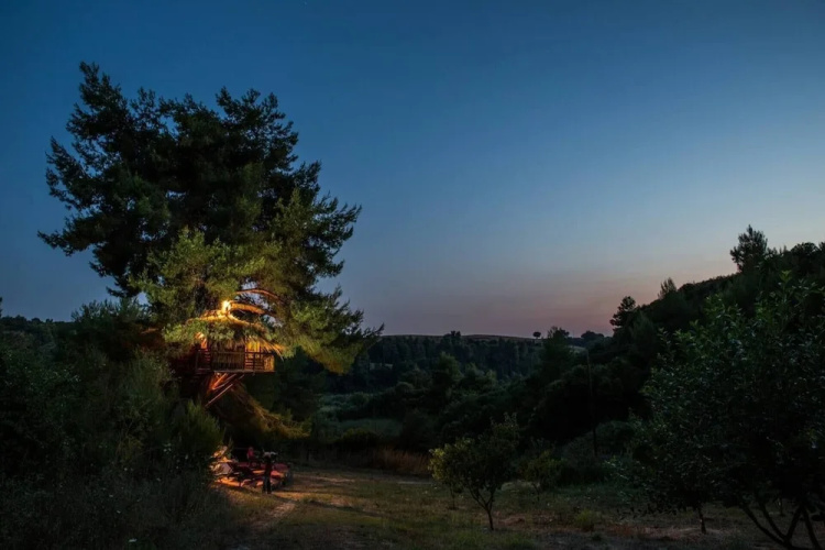 Stunning Treehouse 10 Mins From Sandy Beaches