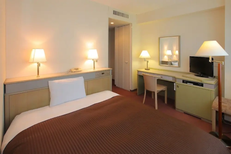 Deluxe Single room