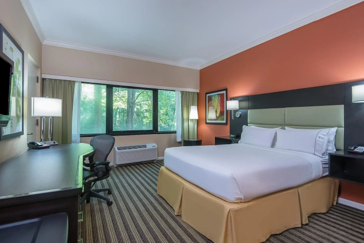 1 Bedroom Standard room
