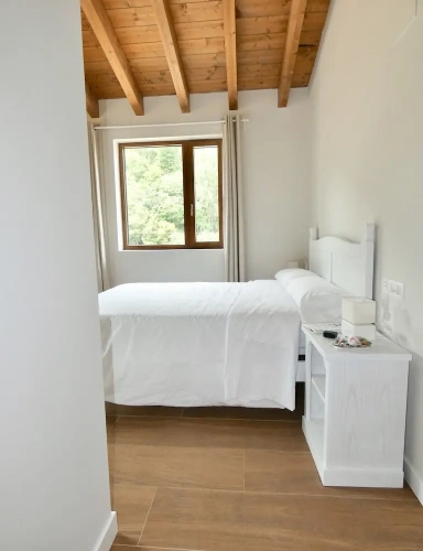 Standard Double room with mountain view