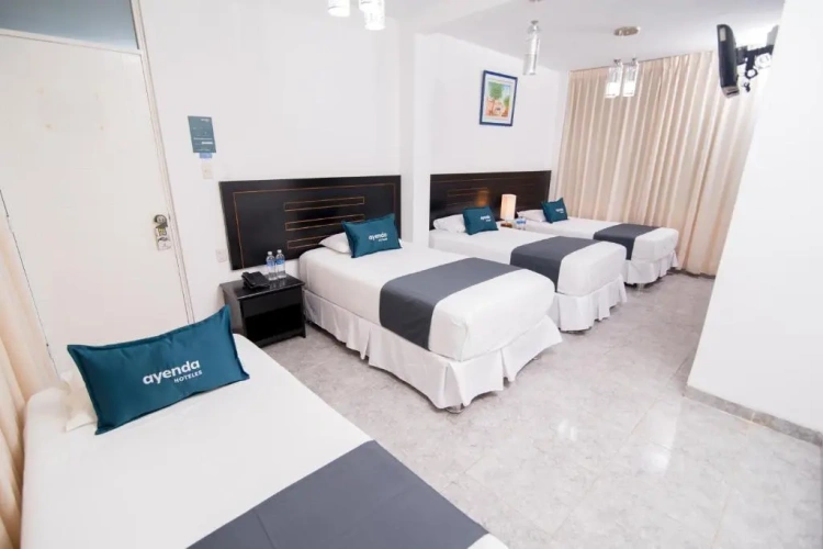 Standard Quadruple room