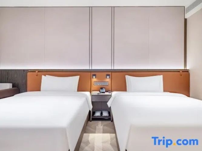 Executive Twin room