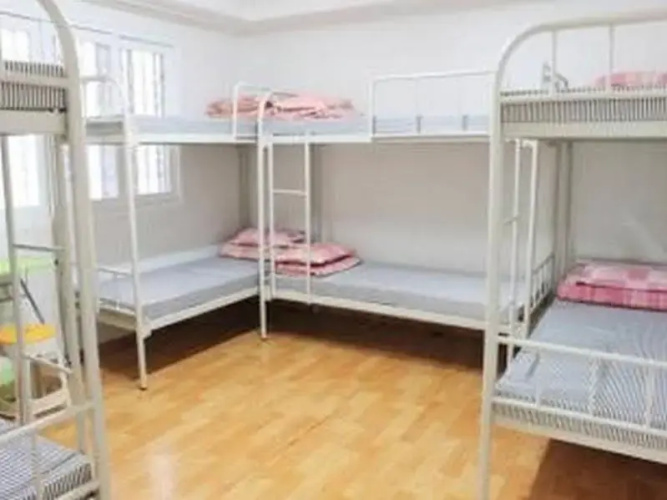 Hostel Alpha(호스텔 알파)