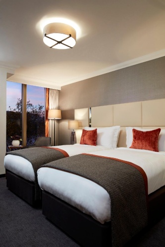 Standard Twin room with river view