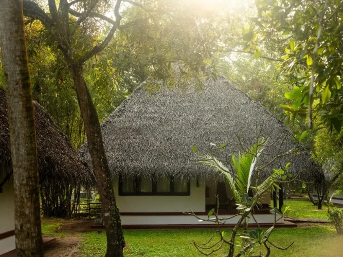 Standard Villa