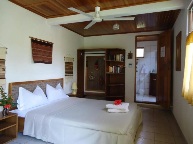 Deluxe Double room with view