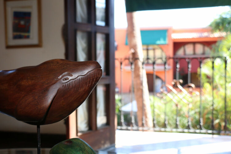 Imagen de Collection O Casa Bella Hotel Boutique, Cabo San Lucas