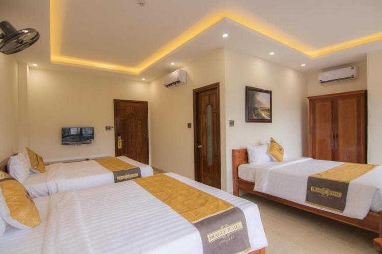 Deluxe Family room
