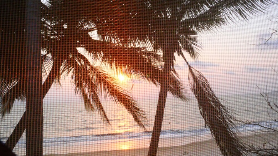Premier Double Apartment beachfront