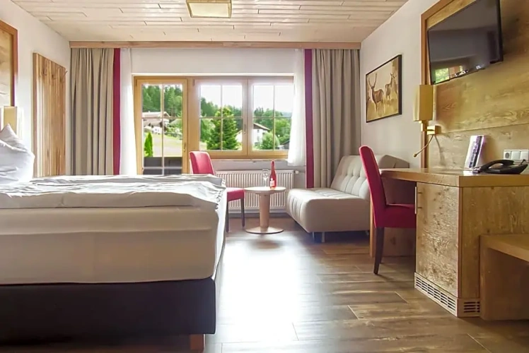 Superior Double room with balcony and with view