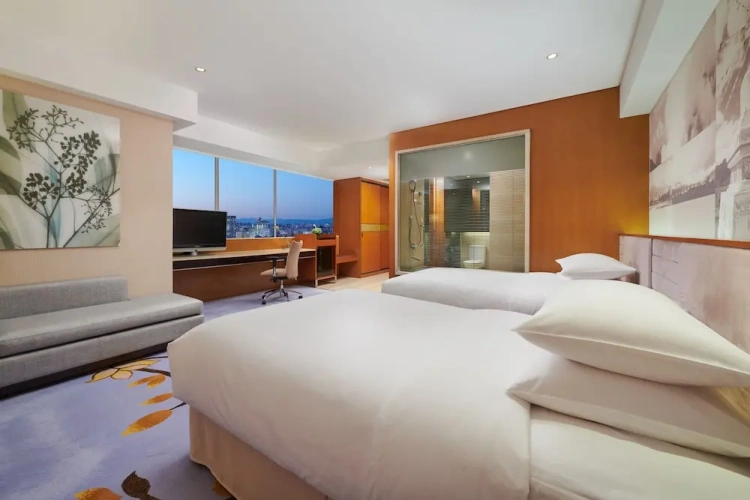 Premium Twin room with city view