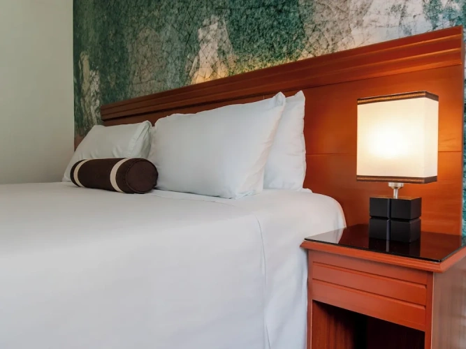 Standard Double room with river view