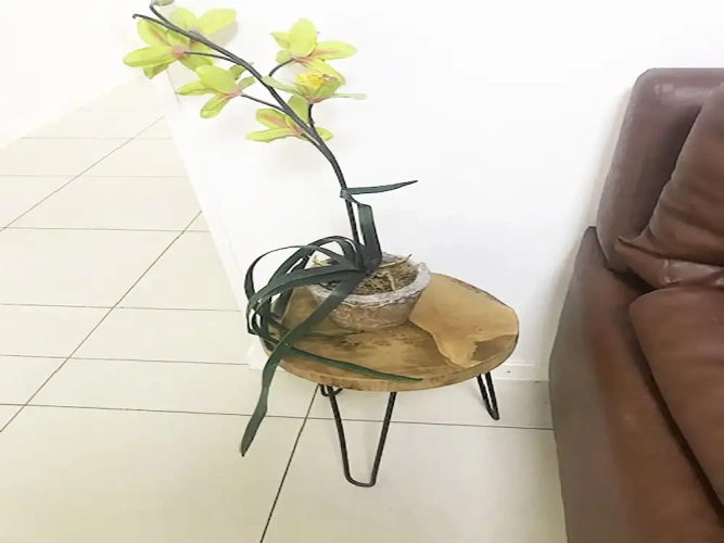 Business Suite
